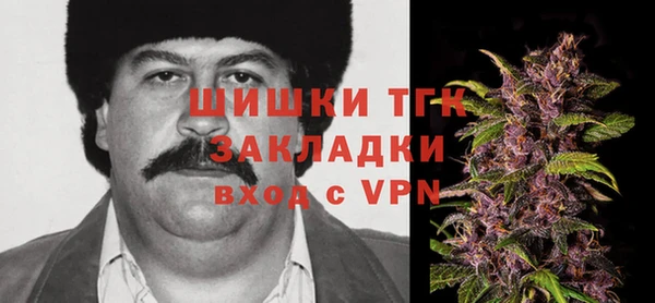 соль ск Алзамай