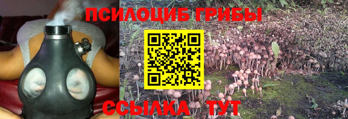 Галлюциногенные грибы MAGIC MUSHROOMS  Псилоцибиновые грибы мухоморы  Апрелевка 